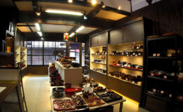 P6020016_800x600